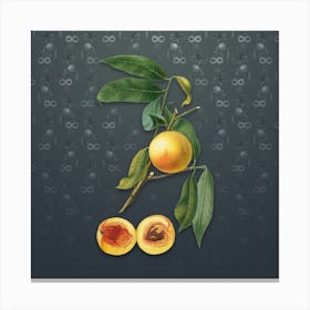 Vintage Peach Botanical on Slate Gray Pattern n.0726 Canvas Print