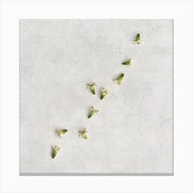 Delicate Scattered Botanicals Square Canvas Print