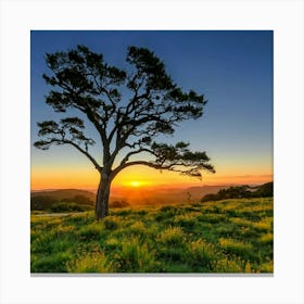 Lone Tree At Sunset Canvas Print