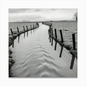 Stream In A Field Canvas Print