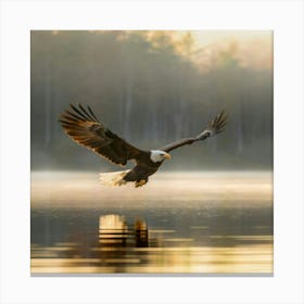 Bald Eagle In Flight Canvas Print