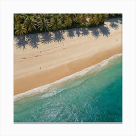 Aerial View Of A Beach Canvas Print