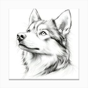 Siberian Husky 1 Canvas Print