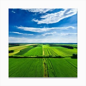 Grass Peace Air Structure Pasture Soy Bean High Country Rural Green Farm Overhead Natur (3) Canvas Print