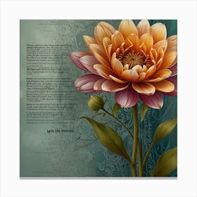 Dahlia 13 Canvas Print