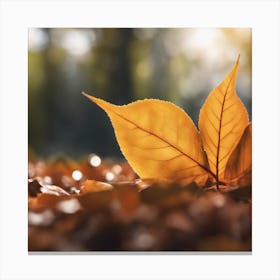 Autumn Leaf 12 Canvas Print