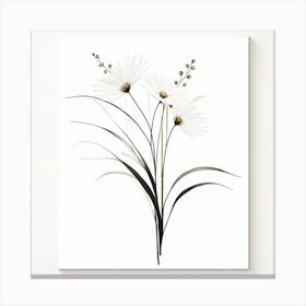 plant minimalist 1 Canvas Print