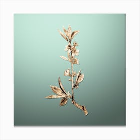 Gold Botanical Pink Flower Branch on Mint Green n.1020 Canvas Print