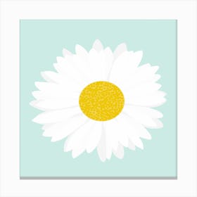 Daisy Flower Canvas Print