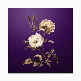 Gold Botanical Ever Blowing Rose on Royal Purple n.1919 Canvas Print