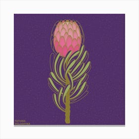 Protea Flower Square Canvas Print