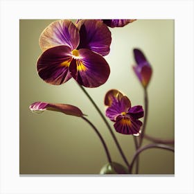 Pansies Canvas Print