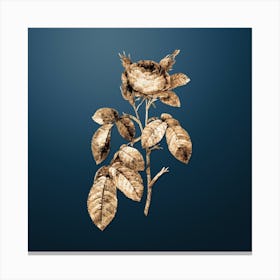 Gold Botanical Red Gallic Rose on Dusk Blue n.1010 Canvas Print
