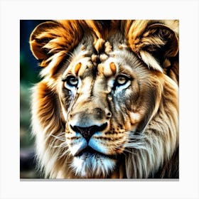 Lion Portrait 29 Canvas Print