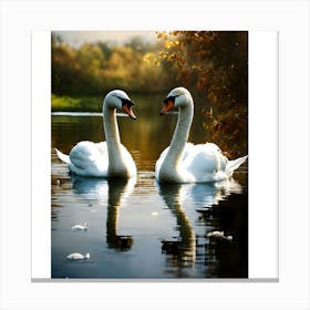 Two Swans In Water Canvas Print