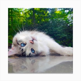 Kitty Cat Canvas Print