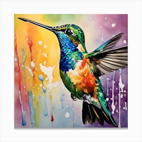 Colibri Canvas Print