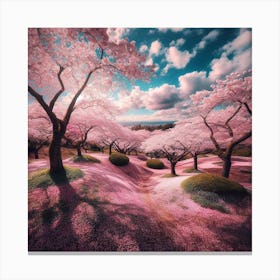 Cherry Blossoms 3 Canvas Print