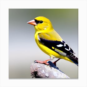 Goldfinch 1 Canvas Print