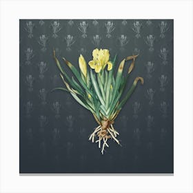 Vintage Crimean Iris Botanical on Slate Gray Pattern Canvas Print