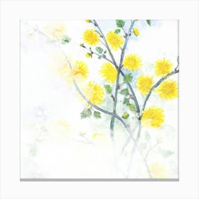 Dandelions 1 Canvas Print