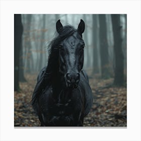 Black Horse In The Forest Canvas Print