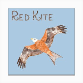 Red Kite Bird of Prey Canvas Print