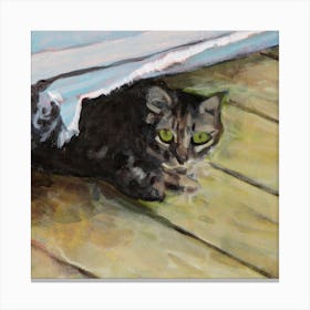 Hiding Cat Square Canvas Print