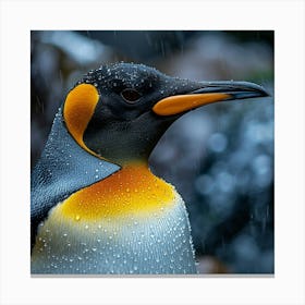 King Penguin 12 Canvas Print