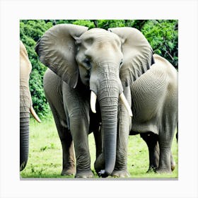 Elephants In The Wild 3 Canvas Print