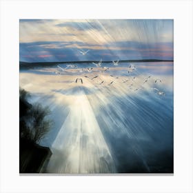 Chasing The Light (III) Canvas Print