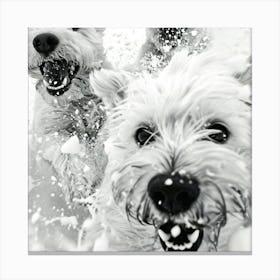 Three White Dogs In The Snow Canvas Print