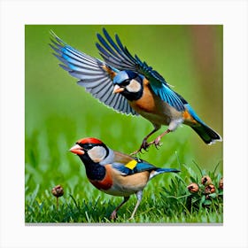 Two Birds In Flight 1 Canvas Print