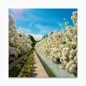 White Flowers In A Garden Canvas Print