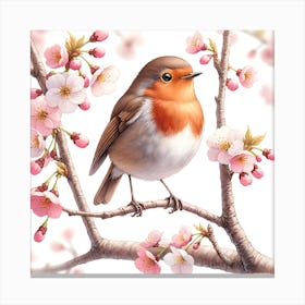 Robin In Cherry Blossoms Canvas Print