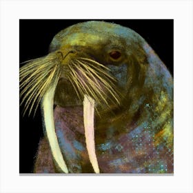 Walrus Canvas Print