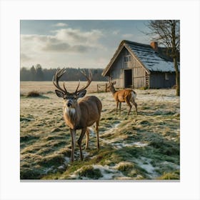 Deer In The Woods Canvas Print