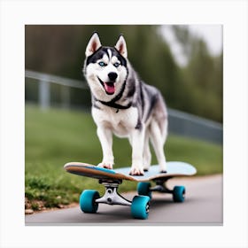 Husky Dog On Skateboard Canvas Print