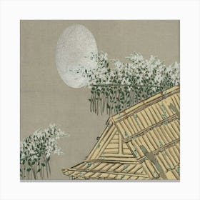 House In The Moonlight Canvas Print