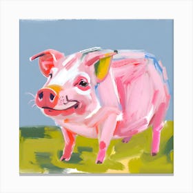 Hampshire Pig 02 Canvas Print