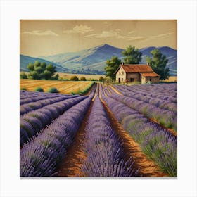 Lavender Field 11 Canvas Print