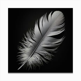 Feather 1 Canvas Print