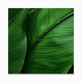 Close Up Of Green Leaves Canvas Print