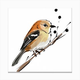 Bird On A Branch 8 Canvas Print