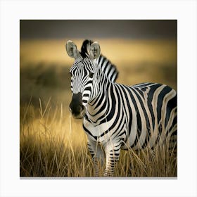 Firefly Zebra In A Mesmerizing Optical Illusion Of Stripes 11335 (2) Canvas Print