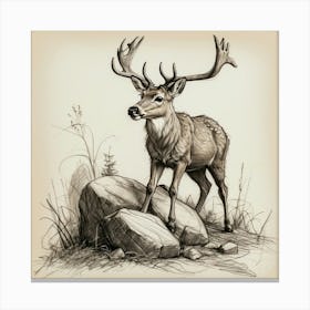 Deer Drawing 40 Canvas Print