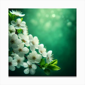 Blossoming Cherry Blossoms Canvas Print