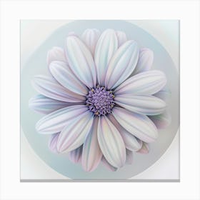 Daisy 1 Canvas Print