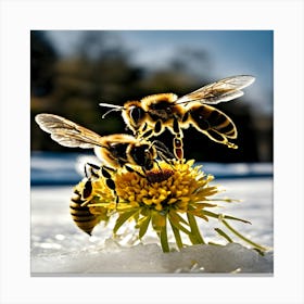 Bees On Flower Canvas Print