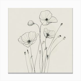 Poppies 87 Canvas Print